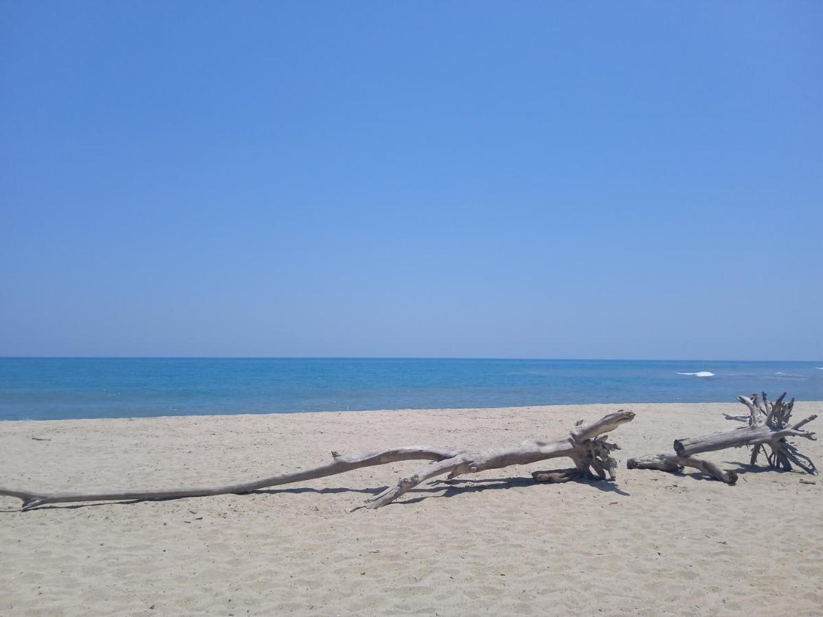 Bob Marley Beach Guachaca Buitenkant foto